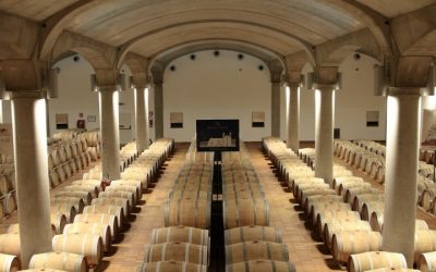 Tour delle Cantine